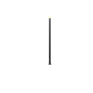 Erba Medium