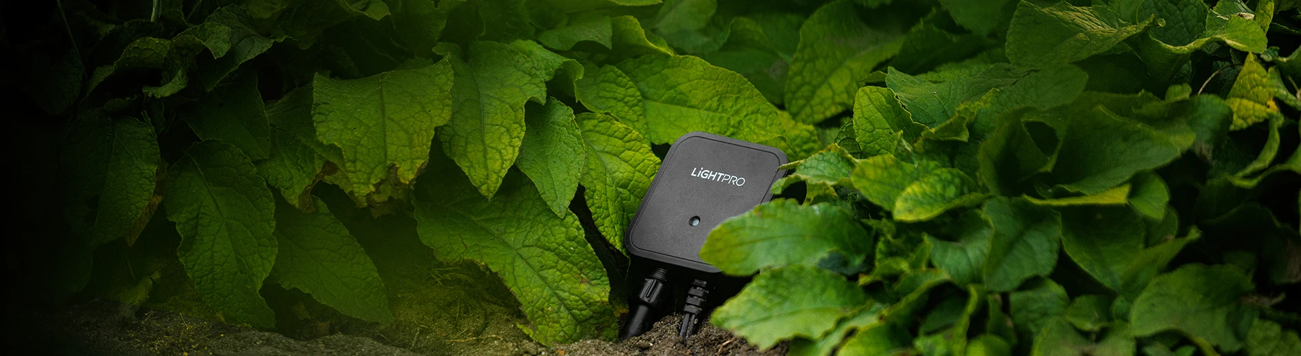 Iluminat inteligent exterior